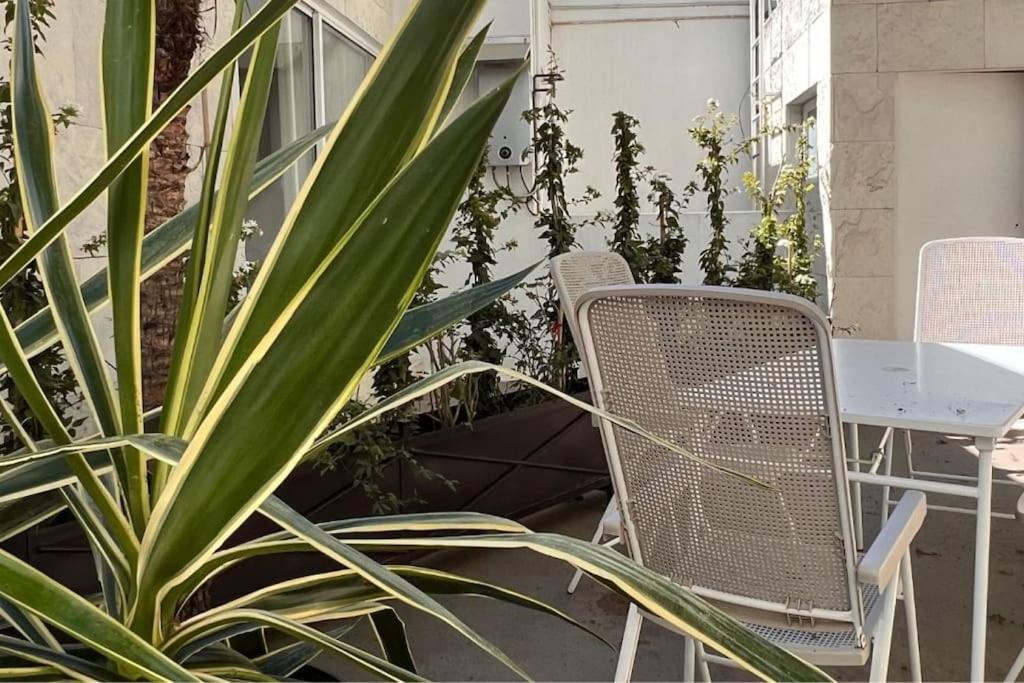 Appartamento Condesa Amsterdam F Elegant With Inviting Ambiance On Amsterdam Avenue *